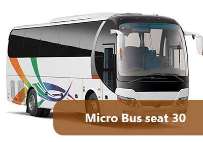 Micro Bus Seat 30